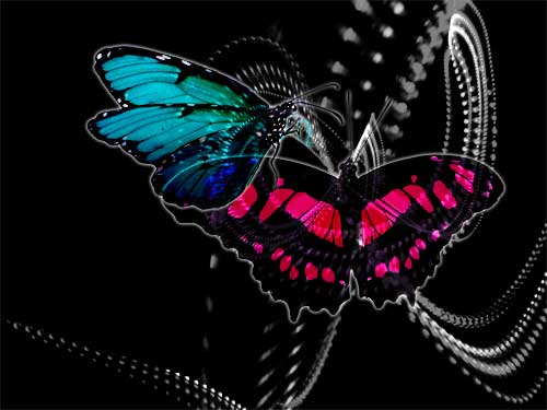 Digitalart Edith tweet media
