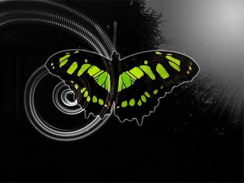 Digitalart Edith tweet media