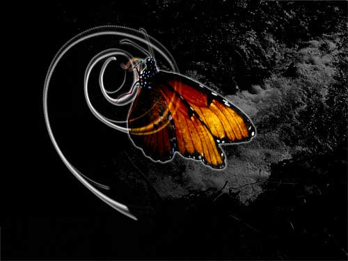Digitalart Edith tweet media