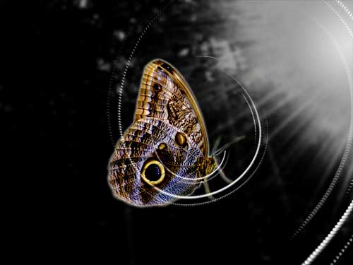 Digitalart Edith tweet media