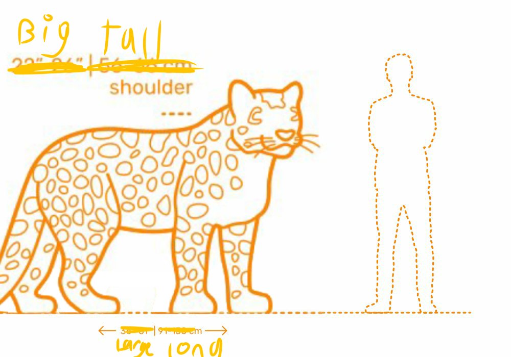 Cirrus snep ❤💜💙 tweet media