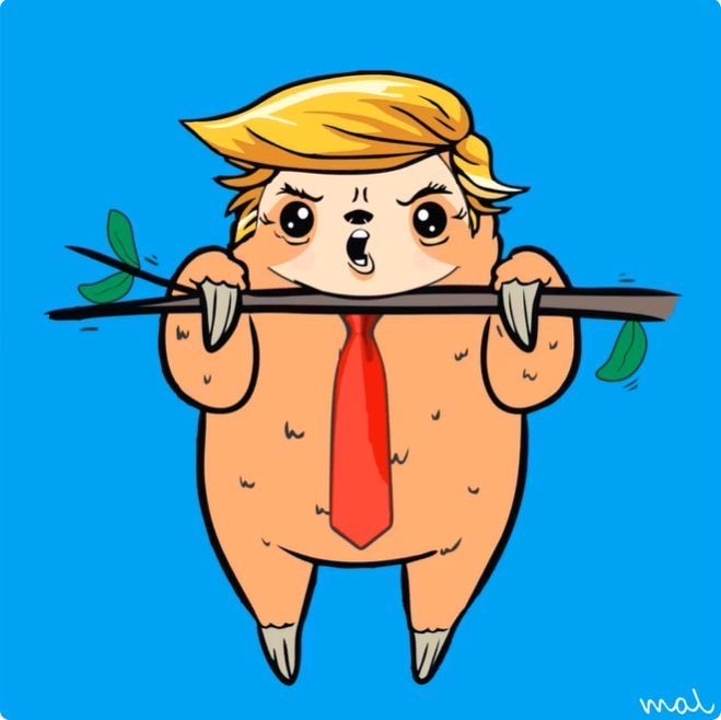 mal_nfts's tweet photo. New mint is live… #LIVE #NFTdrops #NFT #NFTCommunity #TrumpWorld #sloth #art #digitalart #rarible ⁦@rarible⁩ https://t.co/iaAse1ZgX8