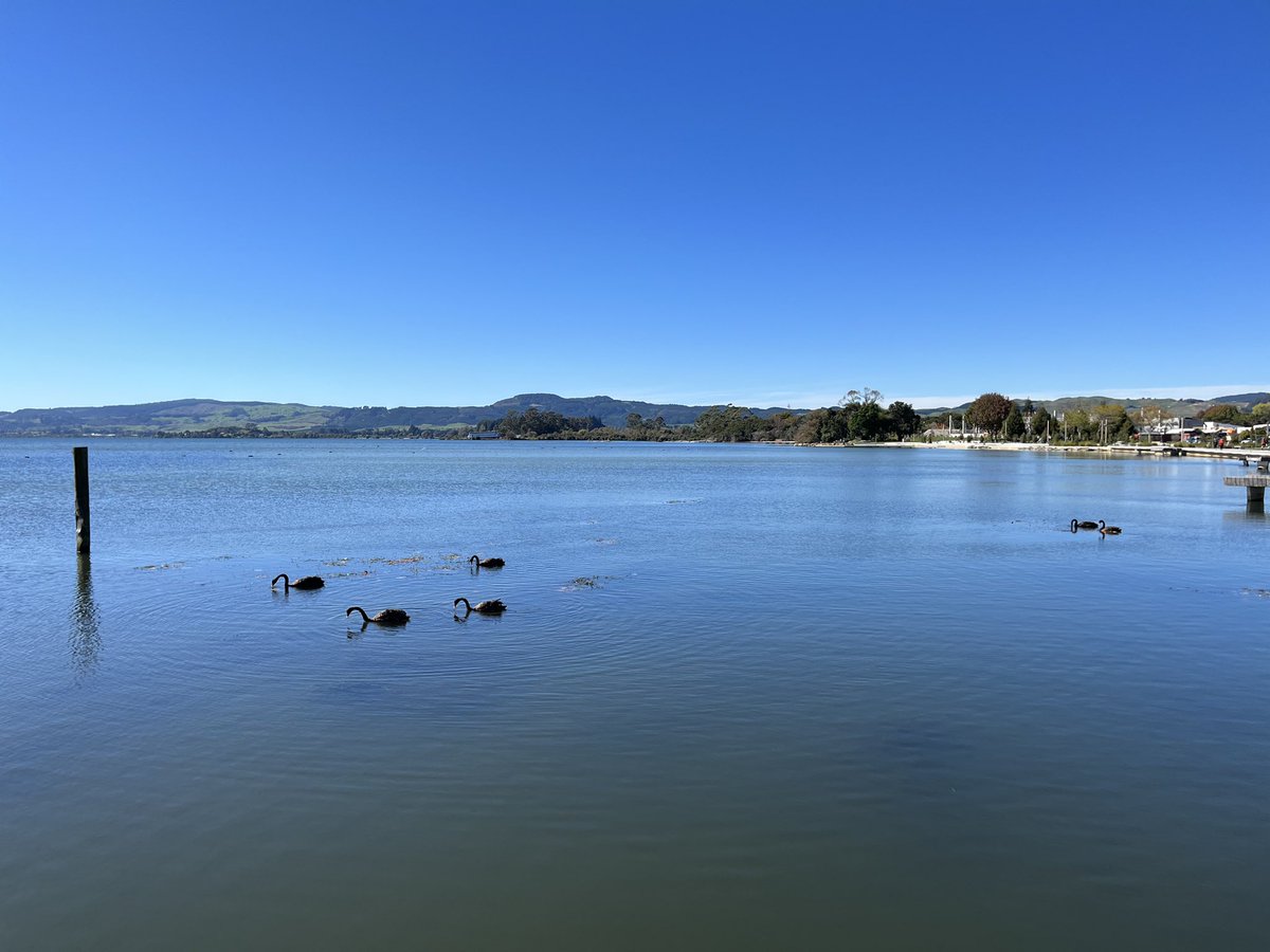 First time in Rotorua in just under 30 years. What a brilliant welcome.