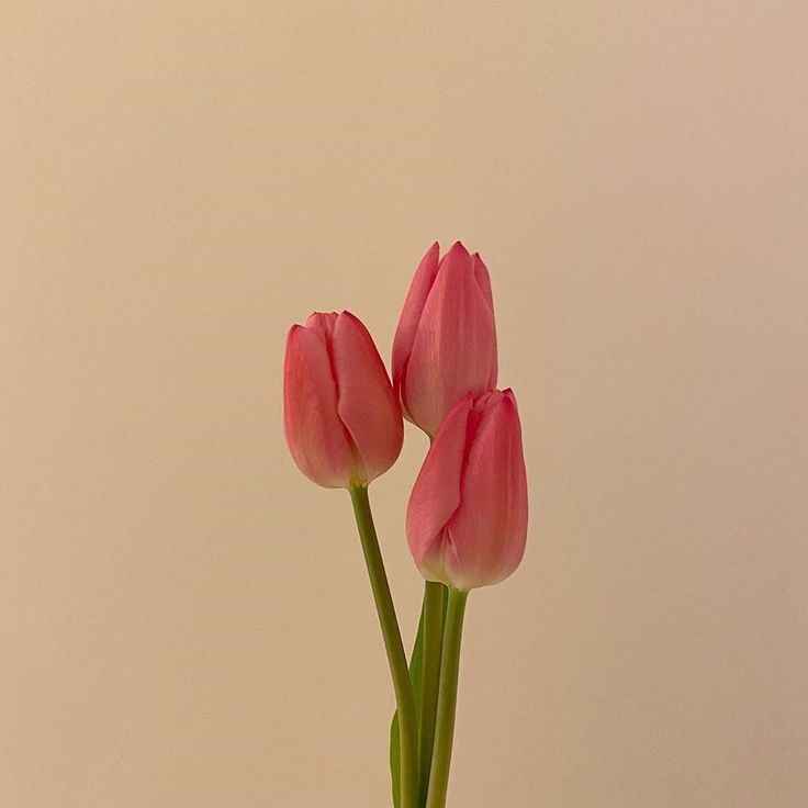 koovcow's tweet photo. 00:00 — 💌 eu só preciso de você nos meus dias, somente isso. https://t.co/Z5buqLRUbl