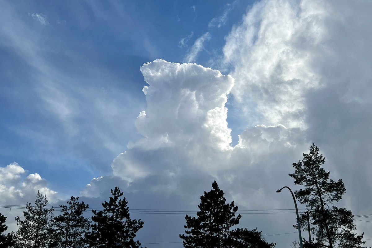 RyanVoutilainen's tweet photo. Partner: “why are you stopping?!”
Me: “hmm, no reason”
Partner: “you’re taking pics of clouds aren’t you?”
Me: *silence* “Perhaps” 😝 

NB: we don’t get #convection often in #Vancouver #BC 

#ShareYourWeather #YVRwx #BCwx #ToweringCumulus #Instability #UnstableAtmosphere https://t.co/linvzVzg5J