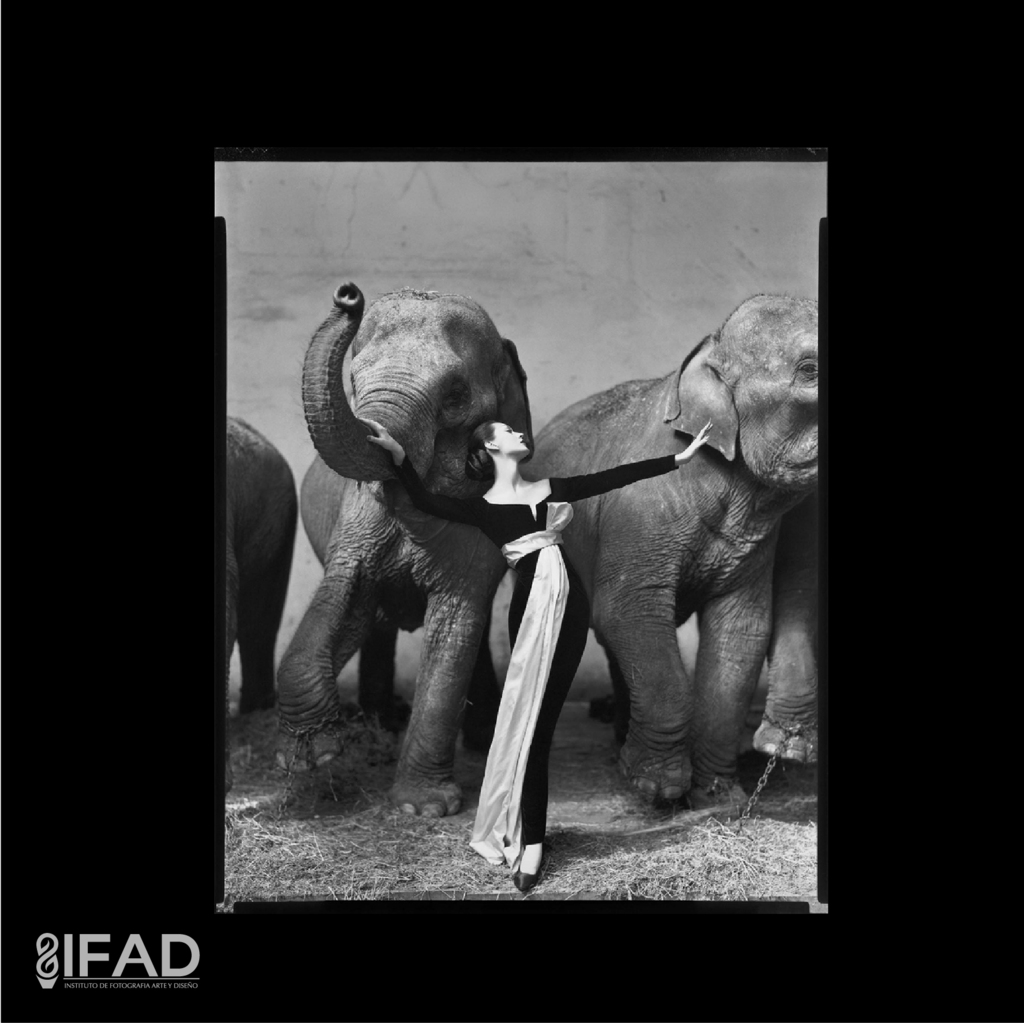ifad_foto's tweet photo. https://t.co/c9eihYAAbe