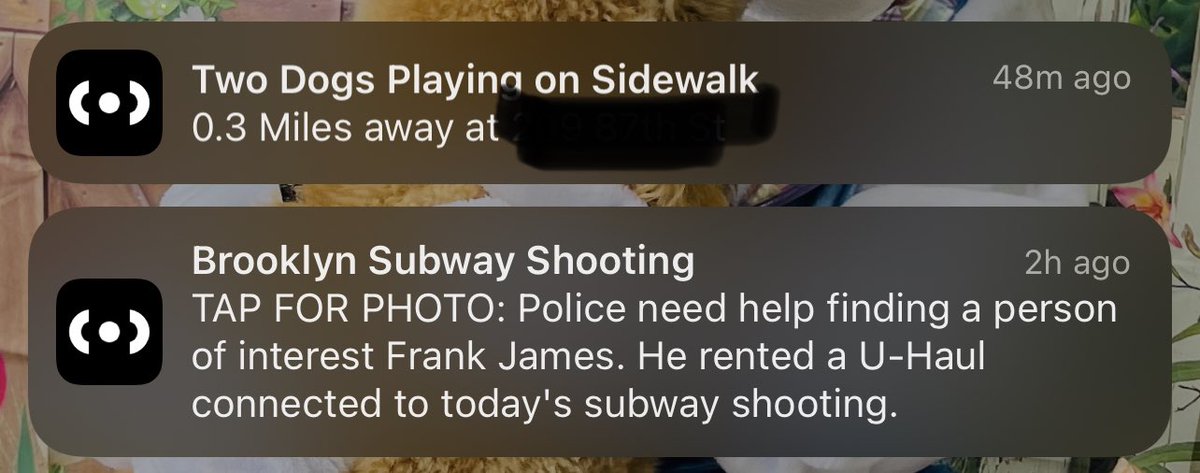 jamievent0's tweet photo. Urgent news only https://t.co/4gSgrr7Dfq