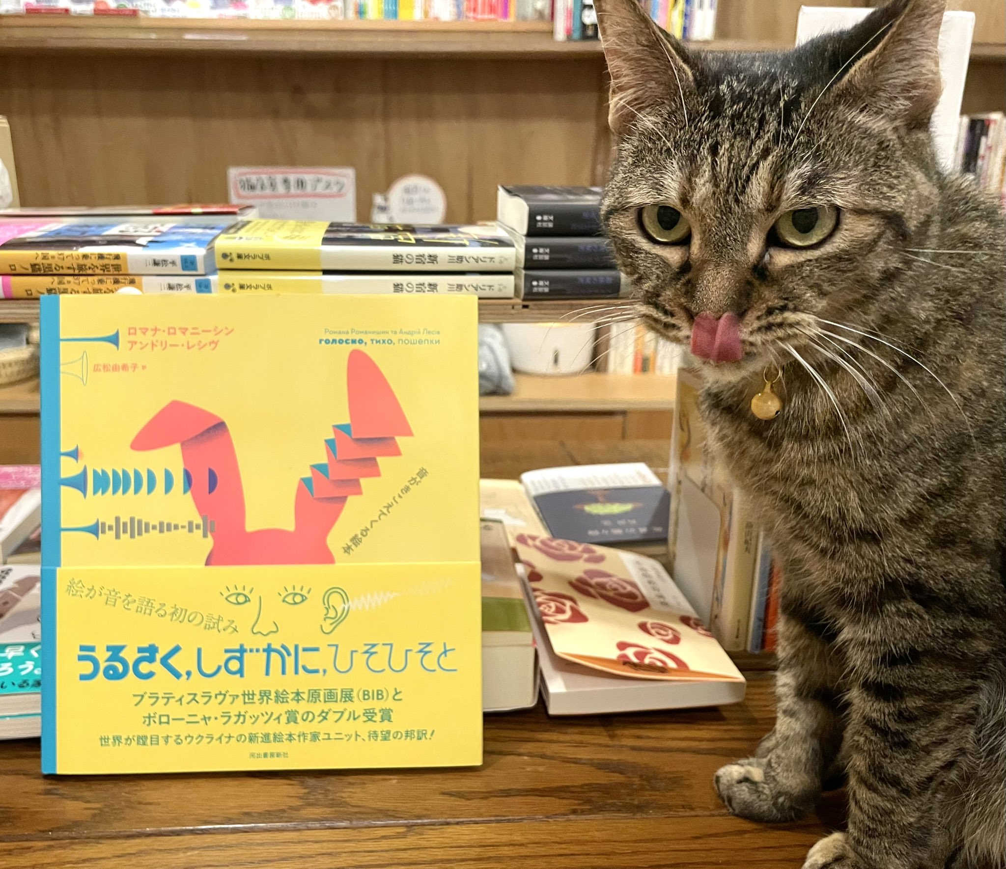 鹿児島でビブリオバトルをする男 Biblio Kago Twitter
