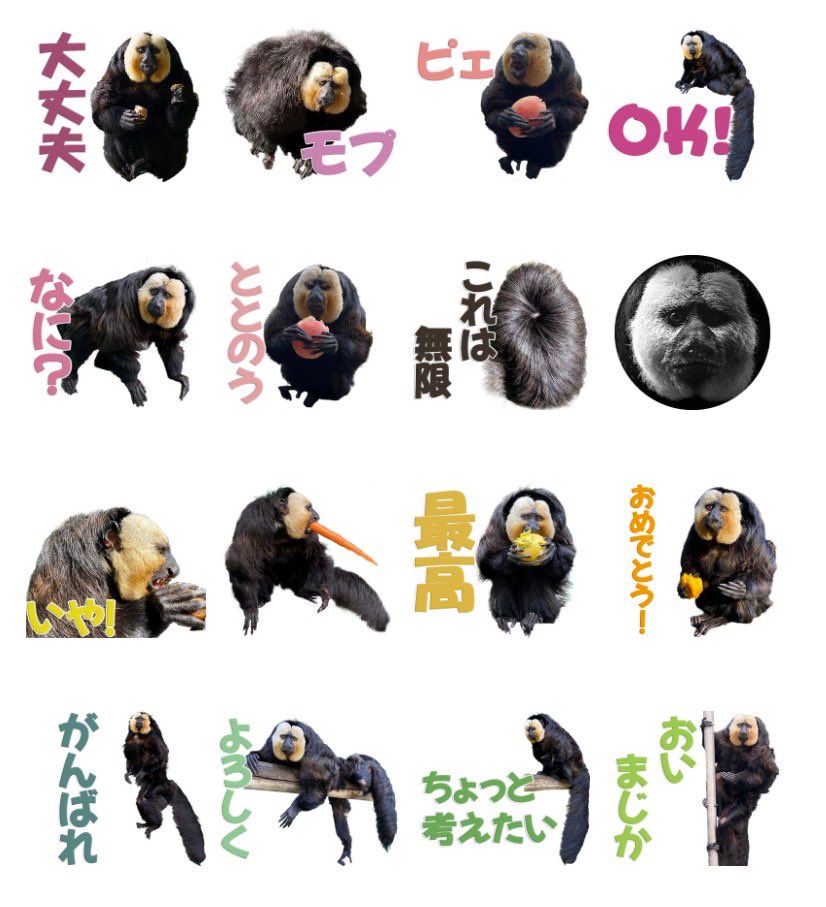 もっとくんページ iiyama PC LEVEL-M5A6-R97X-TKX-ZETA DIVISION [RGB Build] | パソコン