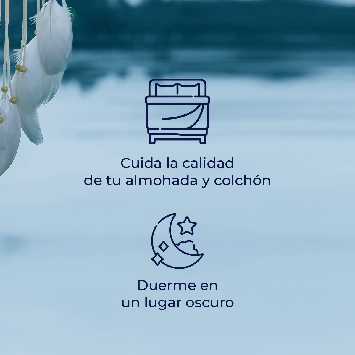 Cuando duermes, tu cerebro experimenta una serie de procesos que permiten hacer más eficiente su funcionamiento; dormir bien permite que tu memoria funcione correctamente.