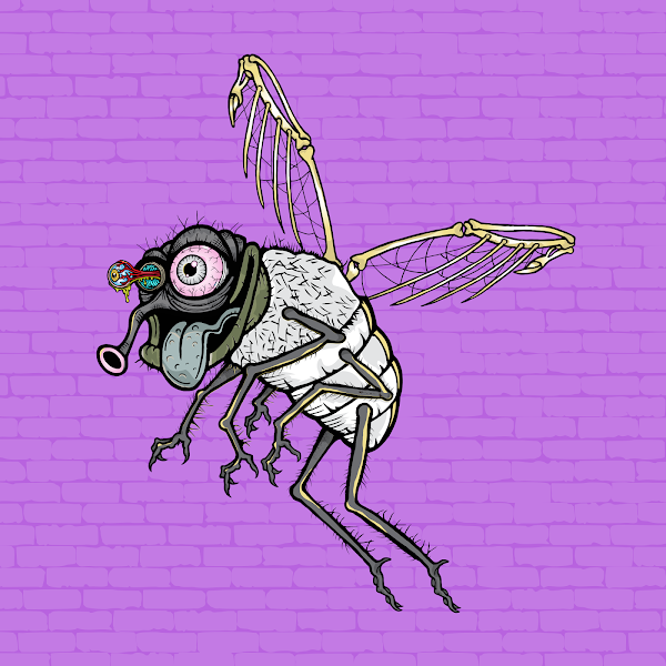 funky_flies's tweet photo. Funky Fly #2815 π₯πͺ° #flyliquid #zzz #funkyflies πͺ° Best #NFTCommunity in the #nft space πͺ° Real People, Real Artists, Real Goals, Fulfilled Roadmap = Real Project πͺ° No #PumpAndDump here! Nothing #fake, we bring the heat everyday!! π₯π₯π₯π₯π₯π₯π₯ #bringit #letmefly #flyarmy https://t.co/4fVkS2WRgQ