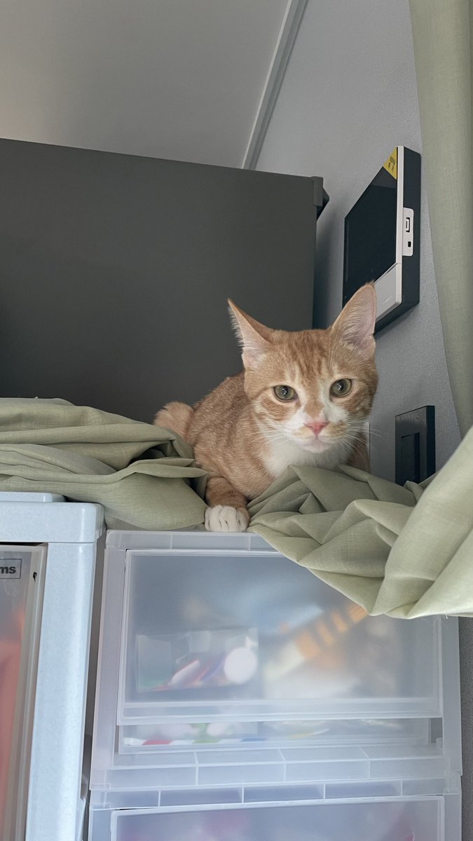 매일매일 아지트가 바뀌시네요