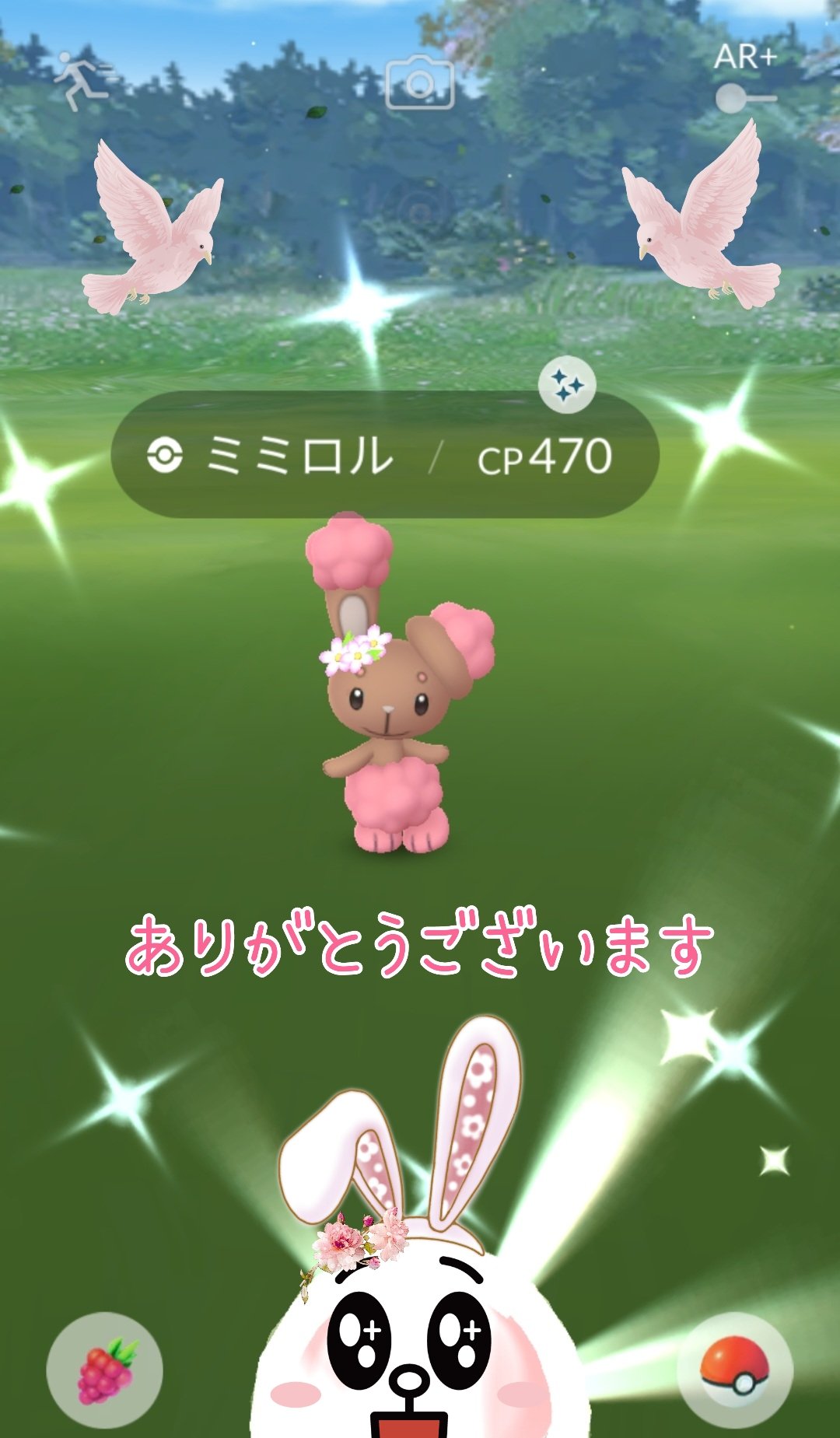 色違いミミロル Twitter Search Twitter