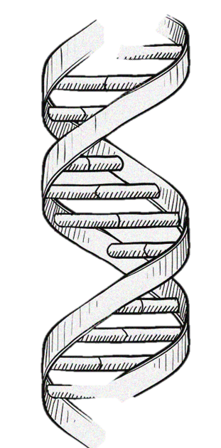 Benjamin Haagen tweet media