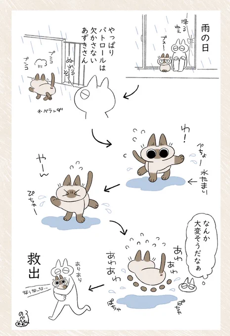 あわわの再掲 #シャム猫あずきさんは世界の中心 