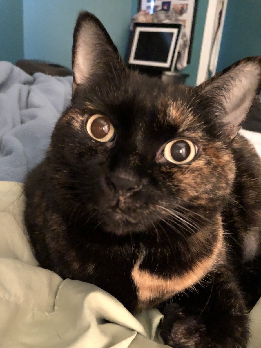 HugeWineRBlog tweet media