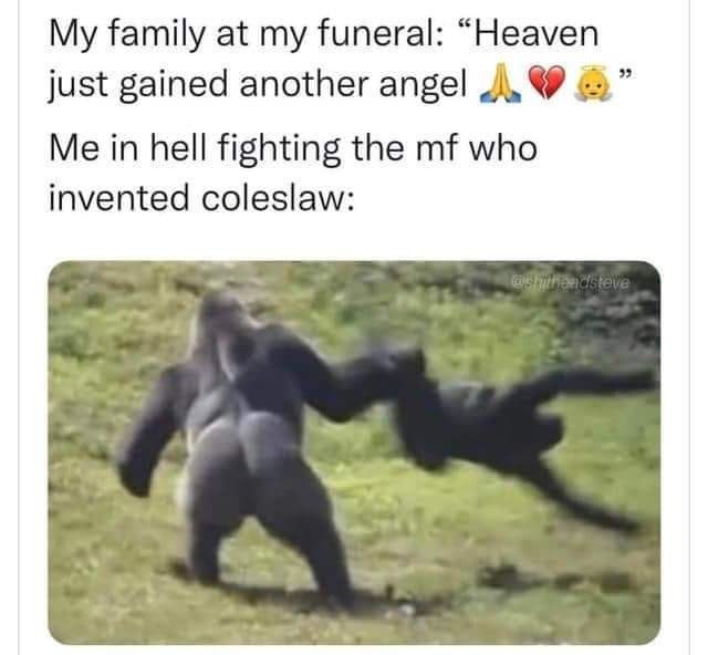 This made me lol out loud

*but I'm also drunk af atm. Hope it makes your laugh as well
