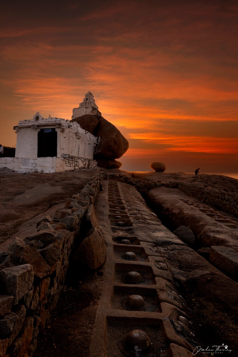 Mohan Thomas tweet media