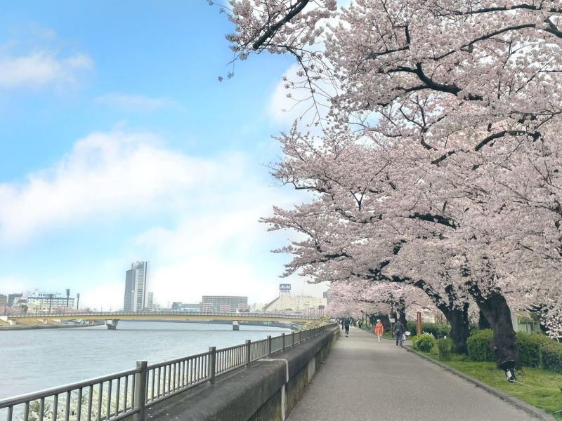 tripnote_edit's tweet photo. トラベルライター SaoRiさんの記事です♪　景色が良かったり、見どころが豊富だったりと、観光気分でランニングできる！旅ランにもオススメな、都内のランニングコース＆スポットをご紹介します♬

⇒旅ランにも！観光気分で走れる東京のランニングコース＆スポット15選
https://t.co/FOyU7h3G7j https://t.co/sMLVpnSkPf