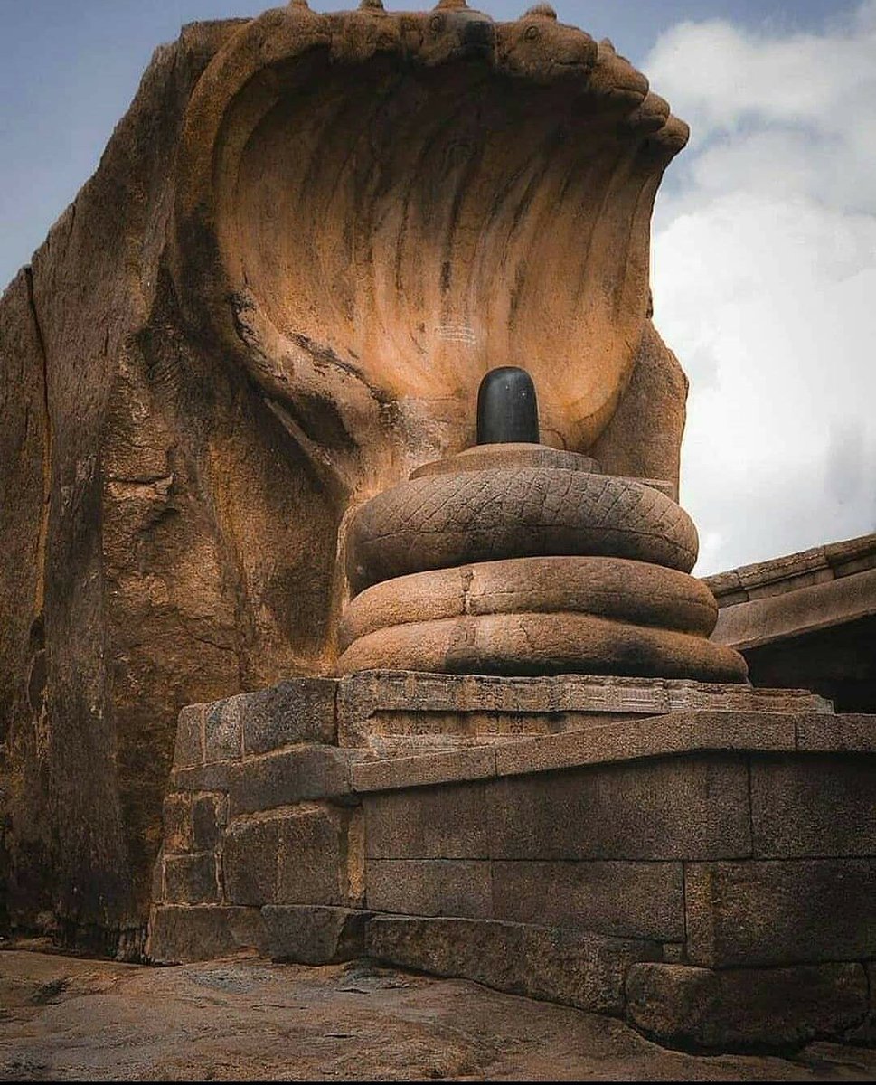 Marvelous Sculpture of hooded serpent Naga shading the #sacred #Lingam 
#Veerabhadratemple is a Hindu temple located in the #Lepakshi, in the state of #AndhraPradesh,#India. The temple is dedicated to the #Virabhadra, a fierce incarnation of Lord Shiva.

#IncredibleIndia