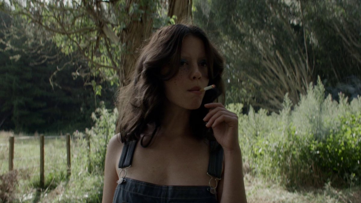 suspiria bot tweet media