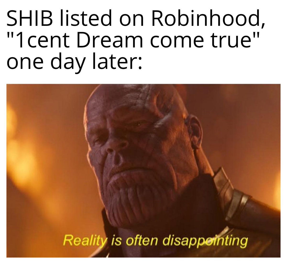 Shibalorian tweet media