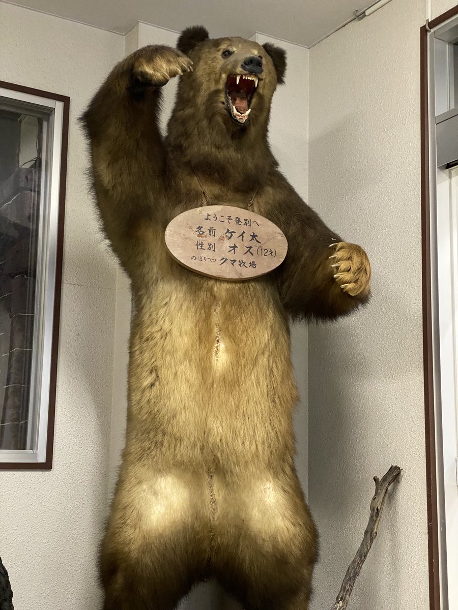 クマの剥製 中山 クマの剥製 中山 ファイル:日高山脈山岳センターに展示される加害羆
