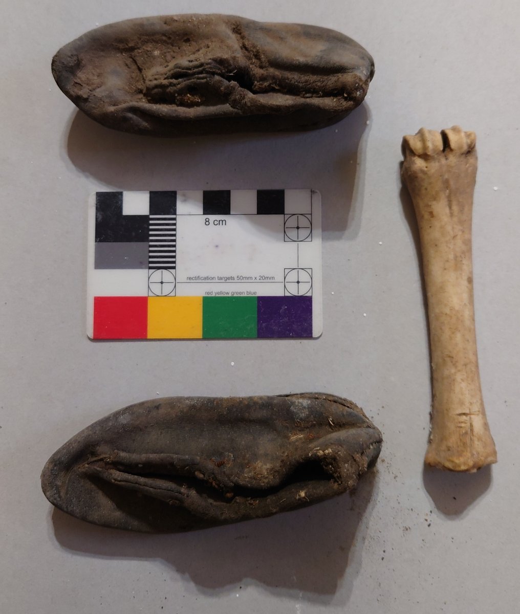 folkmagicman's tweet photo. Yesterday I visited a site in the Bredon area of Glos where two shoes and a goat bone with an incised cross on it have been discovered. The part of the building where they were found is 17th century and also has a nice amount of deliberate burn marks upstairs around a doorway. https://t.co/sIOXKUSyr9