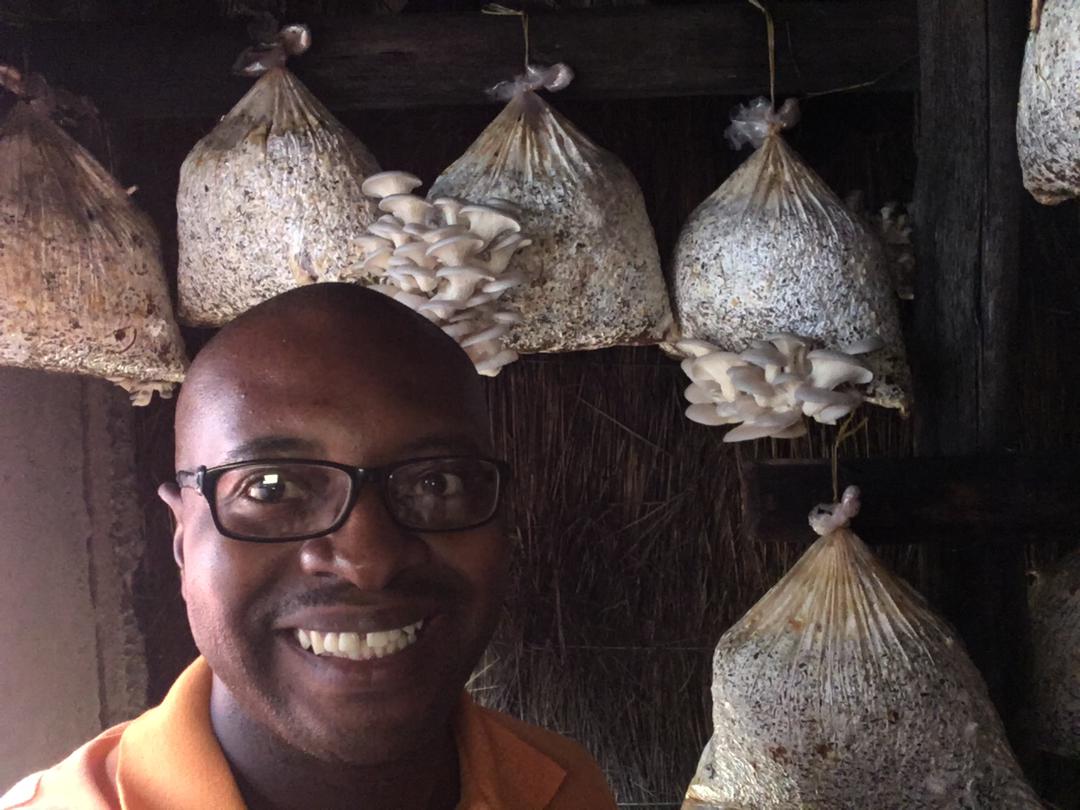 We are in the market, support us when you see the Farm to Family logo in OK Bon Marche, OK Mart and Spar Zimbabwe