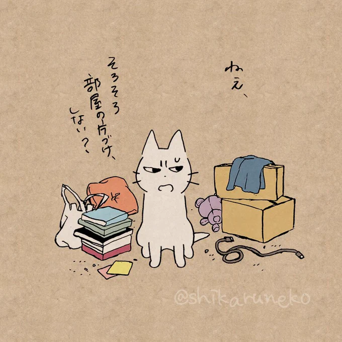 なかなか部屋が片付かない人を叱ってくれる猫 
