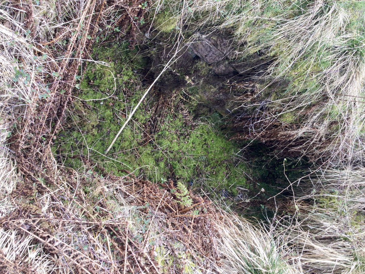 coal_legacies's tweet photo. Wonderful little find, a stone lined shaft in Coalpots wood north of #Gartmorn east of #Fishcross #Clackmannanshire no information but it’s linked to the #Alloa #Coal Company #Waggonway #miningheritage #industriallandscape #explore https://t.co/ld4IeORZyS