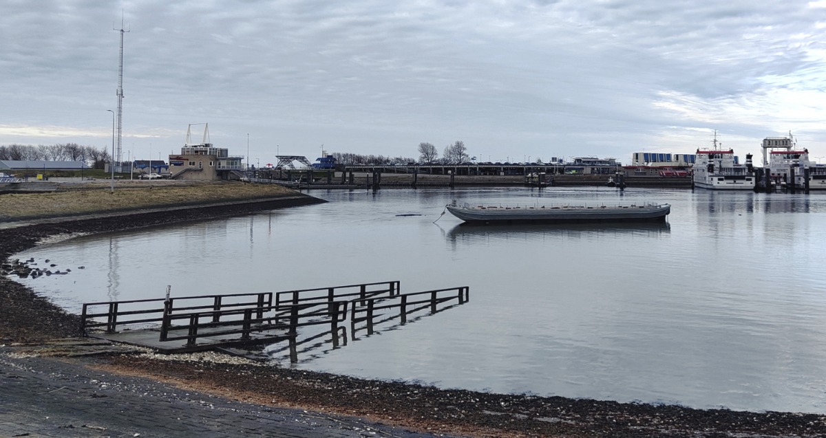 Hij ligt er weer, het drijvende broedponton Sternstee in de havenmond van Lauwersoog. Een mooie plek voor broedende vogels. Hopelijk wordt het dit jaar net zo’n groot succes als vorig jaar.