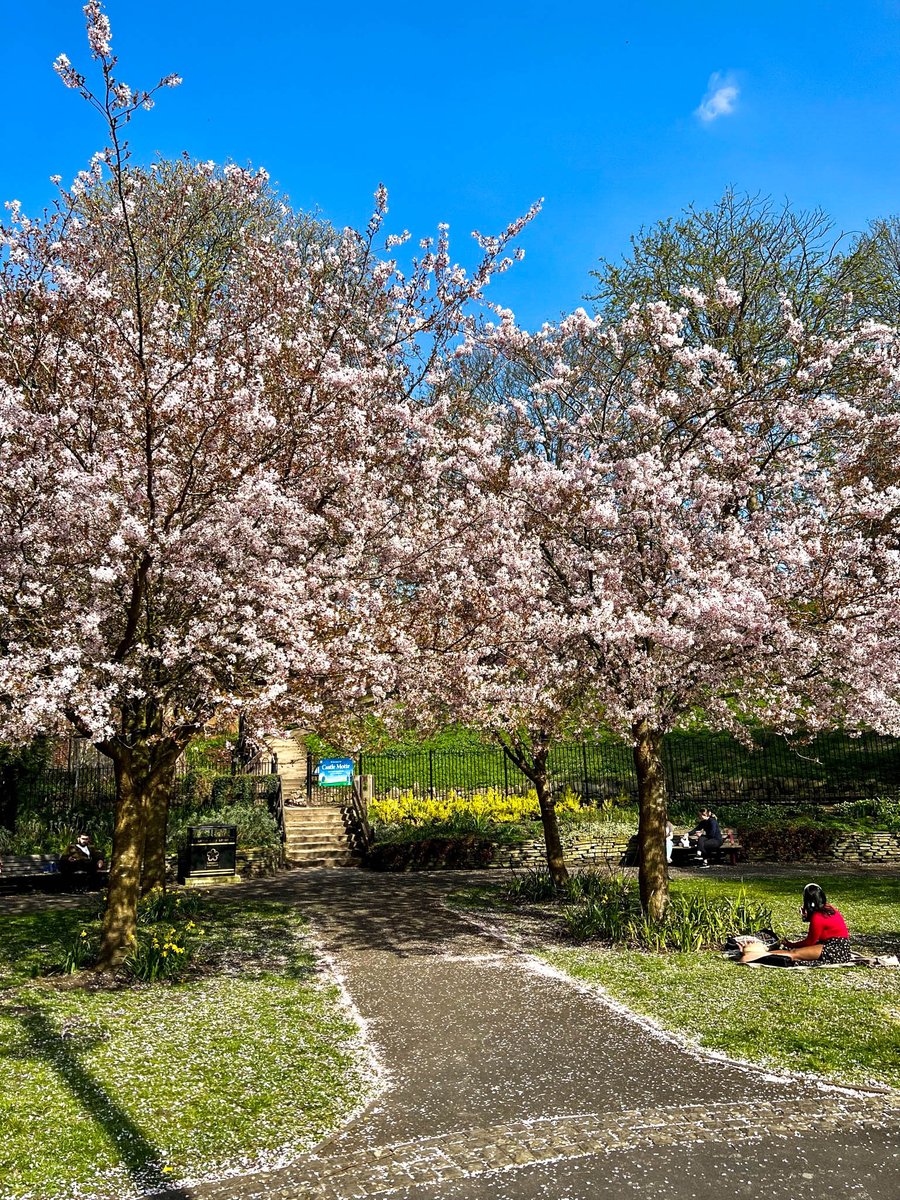 #HappyEaster, from all of us at DMU! 🐇🌸🐣

#Easter2022 | #EasterSunday