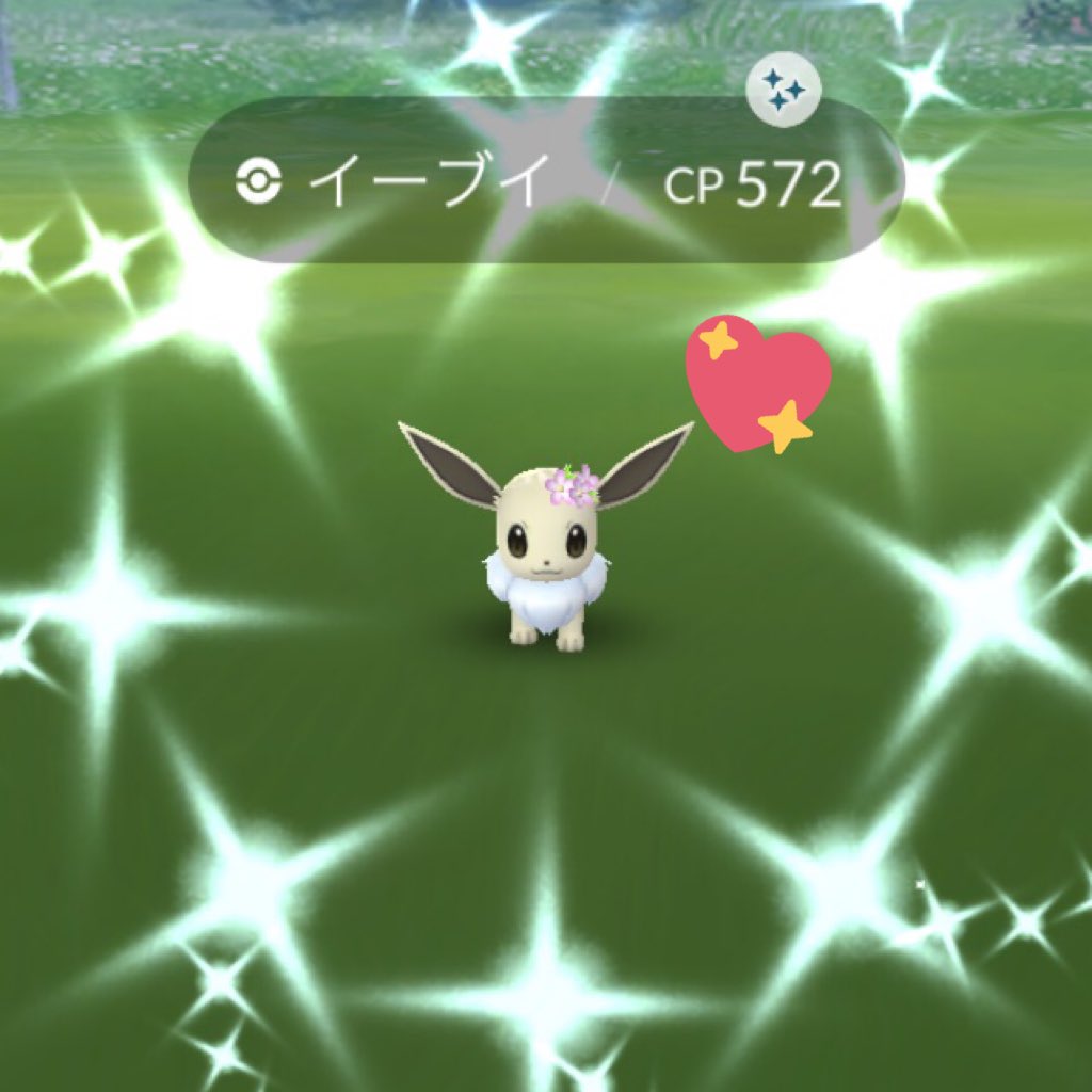 تويتر 色違いイーブイ البحث في تويتر