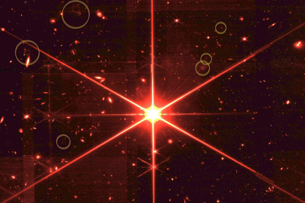 Dr Aaron Brown tweet media