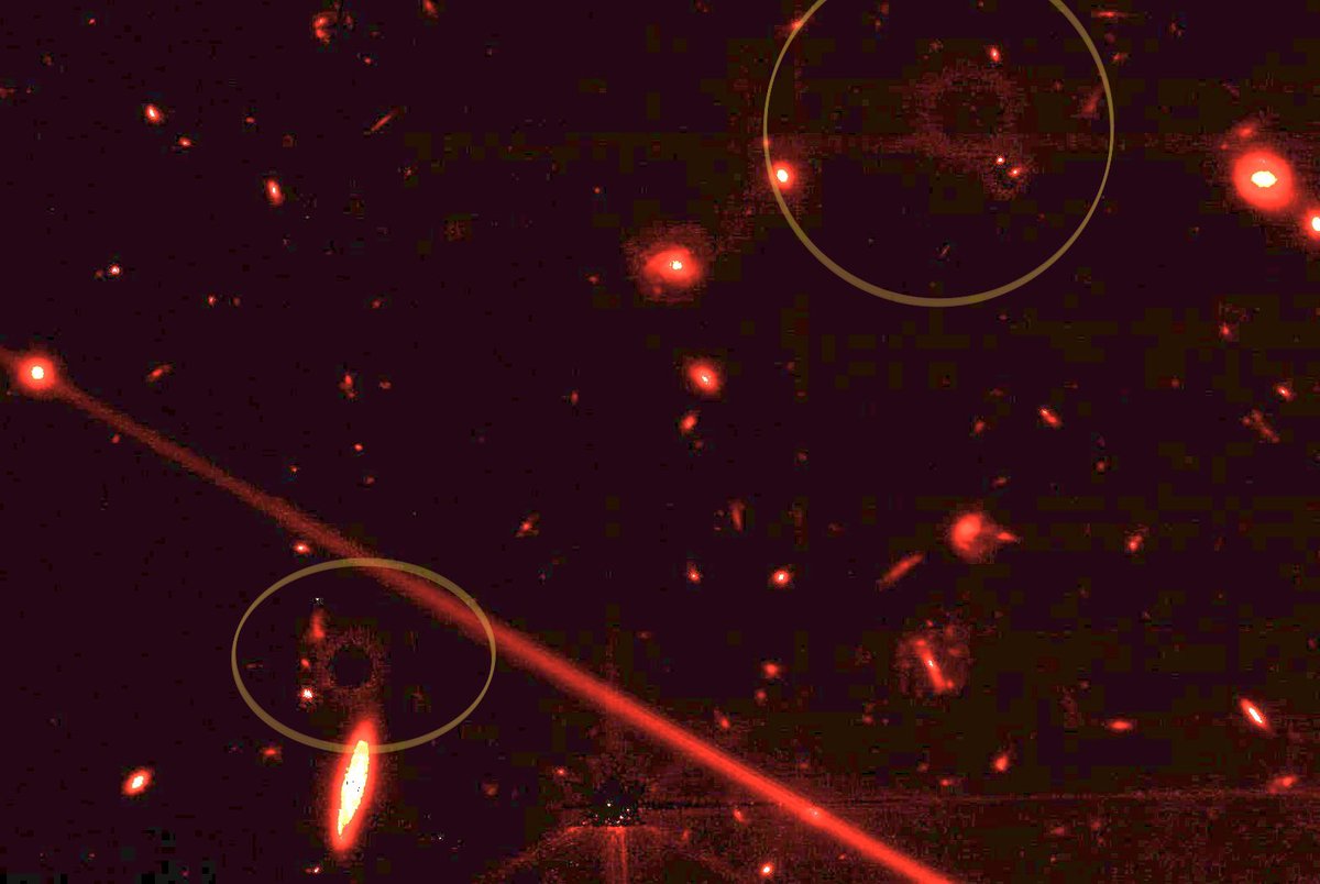 Dr Aaron Brown tweet media