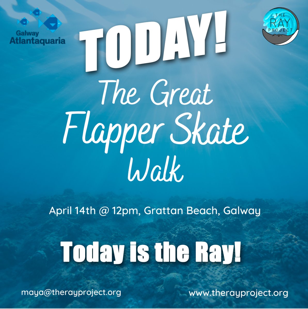 GalwayAquarium's tweet photo. Special thanks to Maya, Katelyn and Megan @The_RayProject team, we have a really great event planned for today. #TodayistheRAY #raysandskates https://t.co/W5LQ4uD0CN