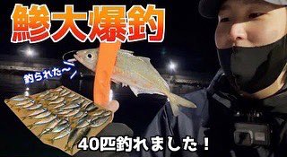 erukon8192's tweet photo. 今週から溜めていた動画を投稿していきます！！
今回はアジングの動画になります🎣
動画のご視聴よろしくお願いします🙇‍♂️
https://t.co/KixDoX6M1j https://t.co/XSayc6kTfk