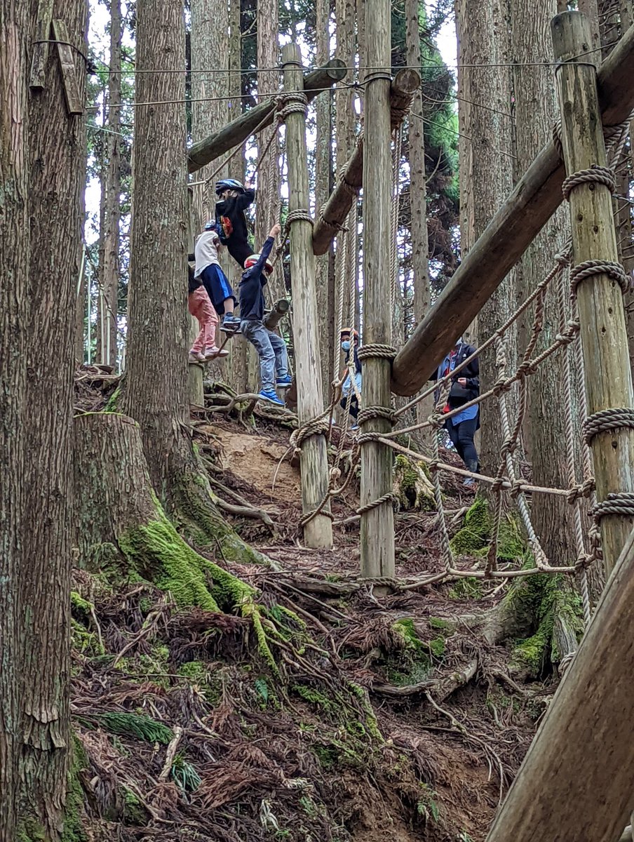 KellieOxlade's tweet image. School camp is back! So many opportunities for personal growth. #nature  #learnerprofile in action #learningatkis @KyotoIntlSchool