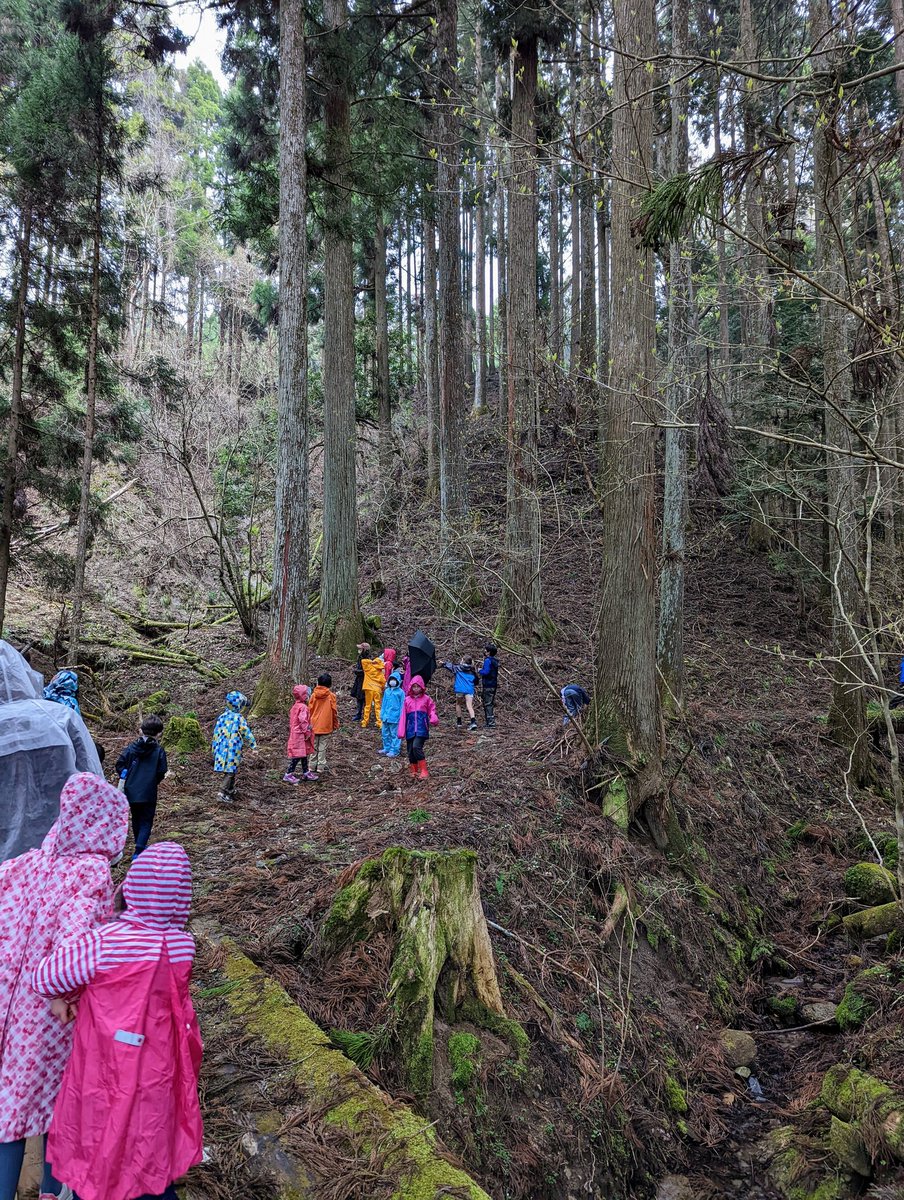 KellieOxlade's tweet image. School camp is back! So many opportunities for personal growth. #nature  #learnerprofile in action #learningatkis @KyotoIntlSchool