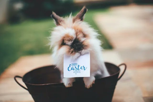 Spring 🌷 is in the air! We wish all customers and employees a happy Easter 🐰 with beautiful weather🌞! Have fun looking for Easter eggs 🐣 and relax for a few days...😎.

#Easter #HappyEaster #happyEaster2022 #Ostern
