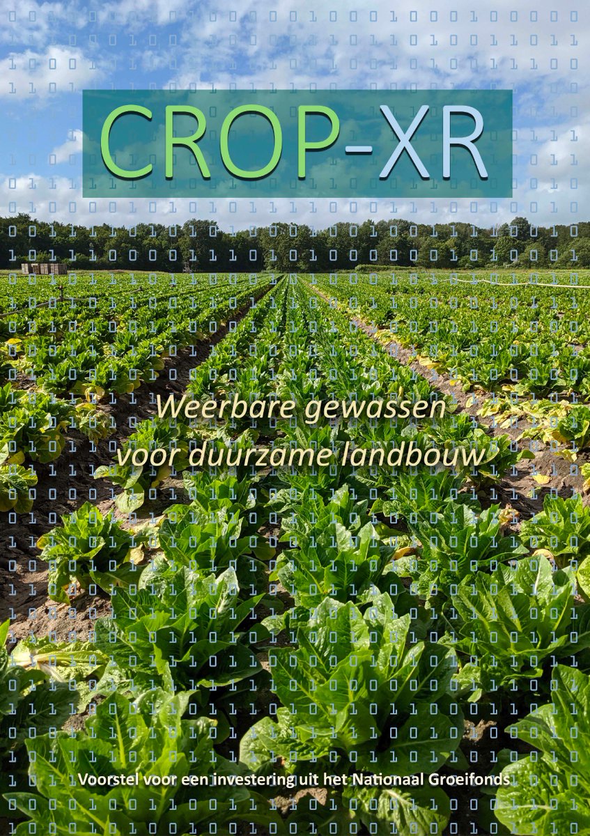 Fantastisch dat ons voorstel is geselecteerd door het <a href="/N_Groeifonds/">Nationaal Groeifonds</a>. CROP-XR: weerbare gewassen voor duurzame landbouw (resilient crops for durable agriculture): opzet van een innovatie-ecosysteem op het grensvlak van de plantenbiologie en data science (AI), samen met <a href="/minlnv/">Minlvvn</a>
