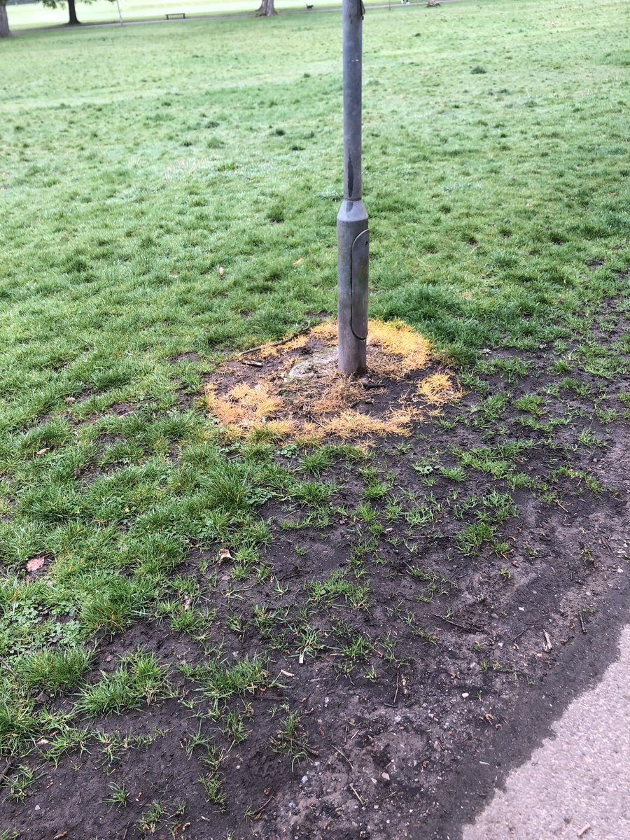 Benjamin Beringue (@benjamin_brng) on Twitter photo Hi <a href="/cardiffcouncil/">Cardiff Council</a>,
I have noticed these in Llandaff fields and was wondering:
1-What chemicals have been used ?
2-Why were they used ? (No sign of such products in Pontcana fields or Bute Park)
3-Aren’t there any concerns about using them so close to a children playing area ? Hi <a href="/cardiffcouncil/">Cardiff Council</a>,
I have noticed these in Llandaff fields and was wondering:
1-What chemicals have been used ?
2-Why were they used ? (No sign of such products in Pontcana fields or Bute Park)
3-Aren’t there any concerns about using them so close to a children playing area ?