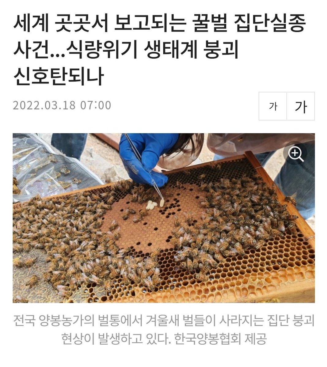 good_evolution's tweet photo. 발휘한다고 해도 그게 어디까지 가능할지 모릅니다. 그리고, 아예 구멍이 막혀버린다면 유연성을 발휘할 기회조차 없겠죠.

벌의 집단 실종, 세계적 이상기후, 빙하 붕괴, 자연림 훼손, 수많은 종의 멸종.
이 모든 것들이 우리가 통과해야 할 챗구멍이 점점 좁아지고 있음을 의미합니다. https://t.co/o03EYFrs5v