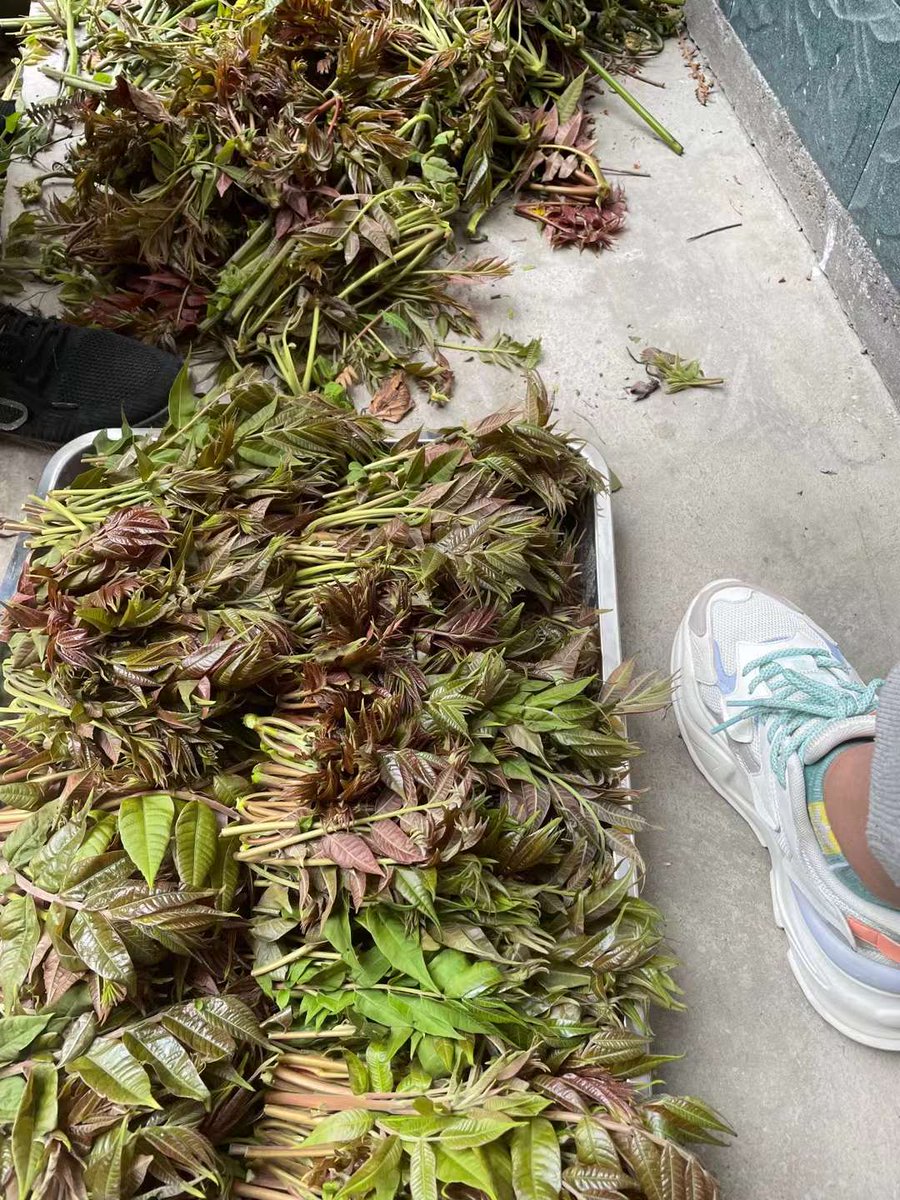 几十块钱一斤的菜