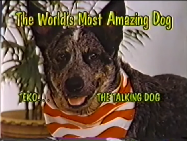 good_faces_bot's tweet image. 