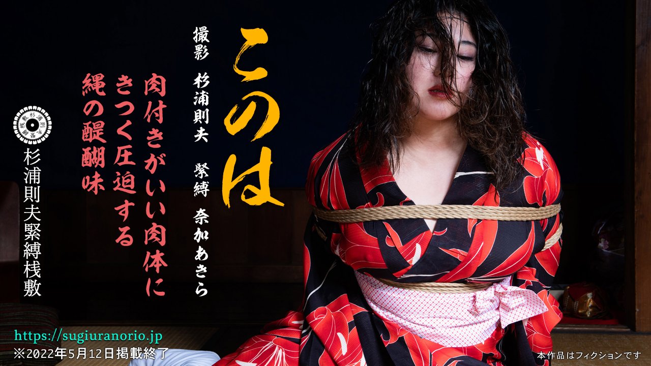 Japan  緊縛桟敷14 