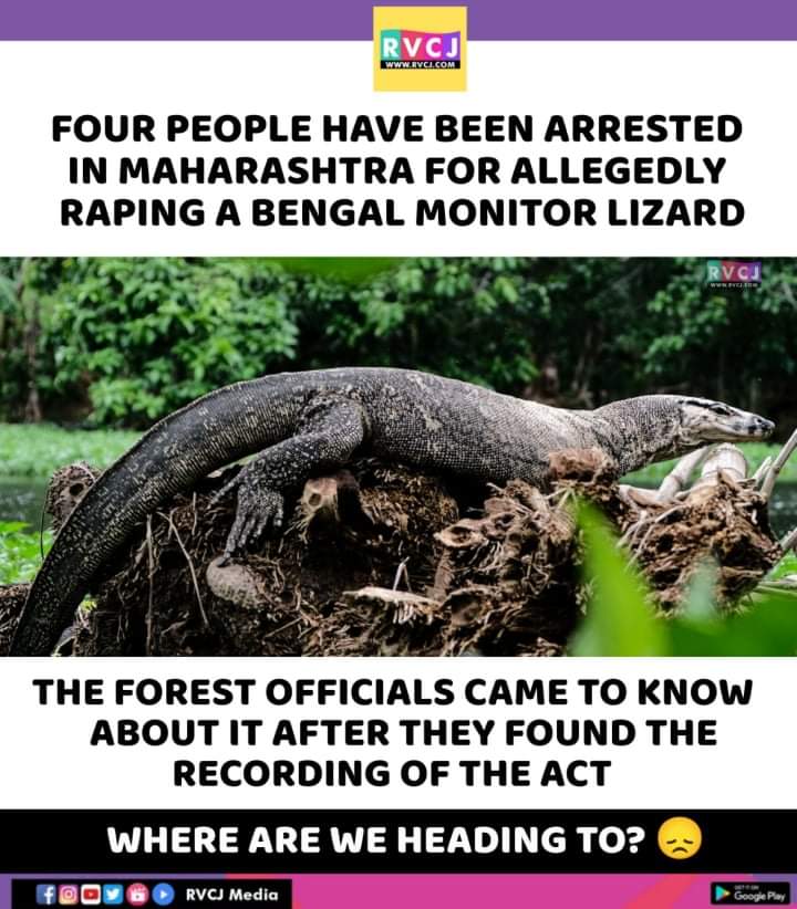 RVCJ_FB's tweet photo. https://t.co/pgYUiP2Q18