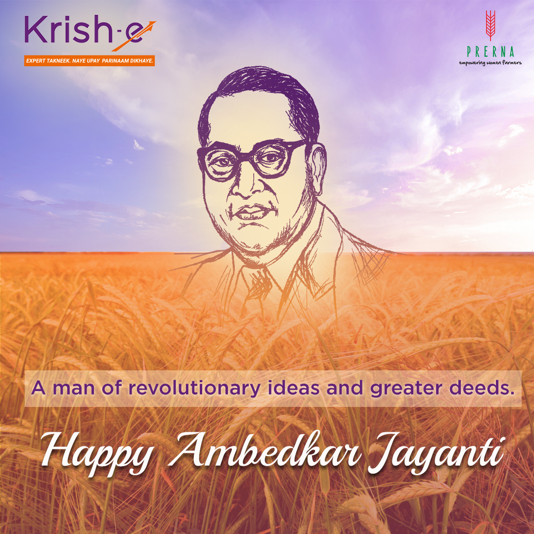 Celebrating the birth anniversary of Dr. B.R. Ambedkar and remembering his unwavering spirit to fight for justice and independence.
Happy Ambedkar Jayanti!

#drambedkarjayanti #freedomfigter #krishe #agriculture #famers #celebration