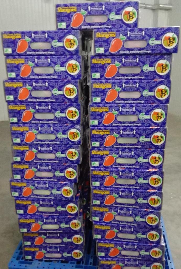 PiyushGoyal's tweet photo. इंतजार का फल, मीठा ‘आम’ होता है 🥭

Indian mangoes are now available in the USA after a break of nearly 2 years. Our friends in USA now can enjoy the unique taste of a variety of our mangoes. https://t.co/IJqVlJcIXz
